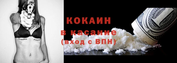стафф Вязьма