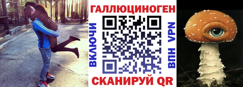 где продают   гидра как зайти  Галлюциногенные грибы Psilocybe  Шилка 